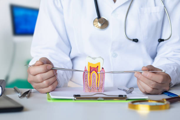Best Emergency Root Canal Treatment in Kinder, LA